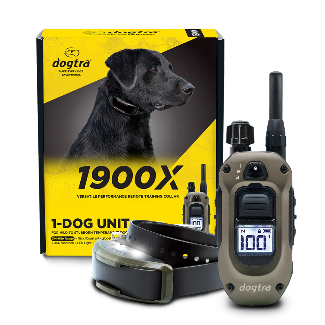 Dogtra 1900X training collar
