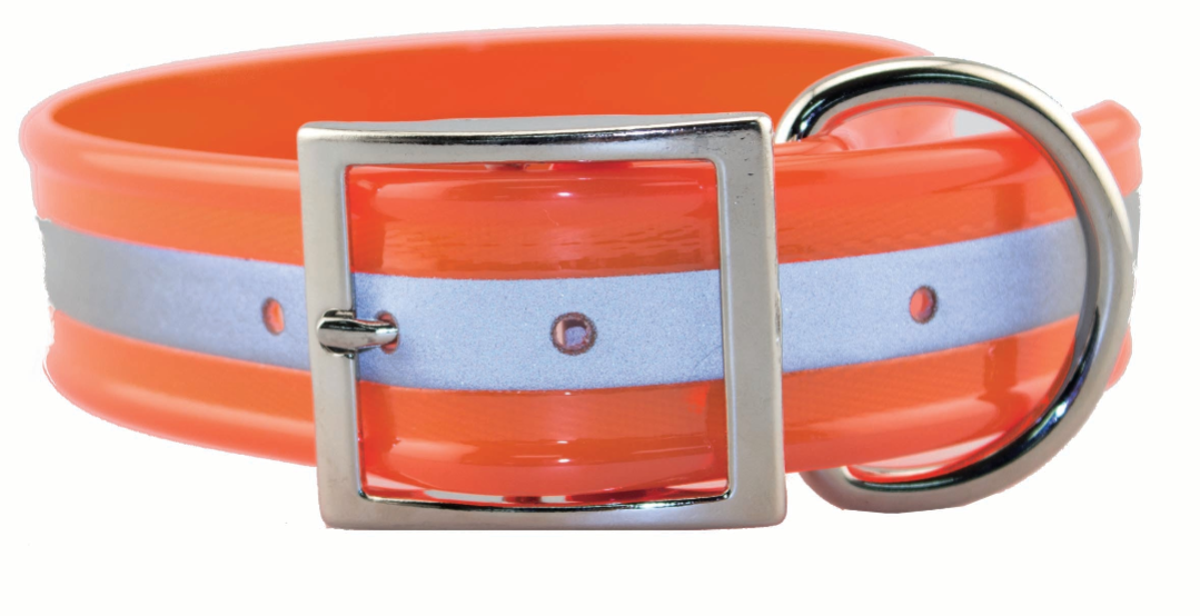 Reflective wide 1 1/2" collar
